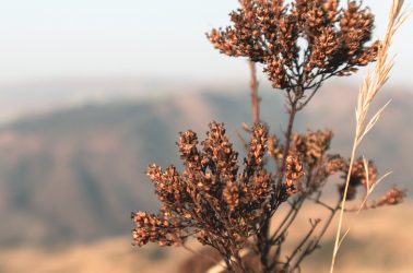 Kick off the Year with a Luxury Bush Getaway | January Accommodation Specials