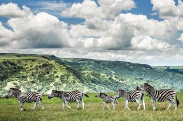 Come and Explore the Beauty of Nature in Safe Spaces with Plenty of Fresh Air